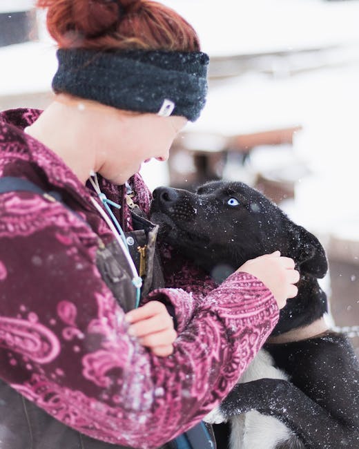 Alpaca Ear Warmer Headband